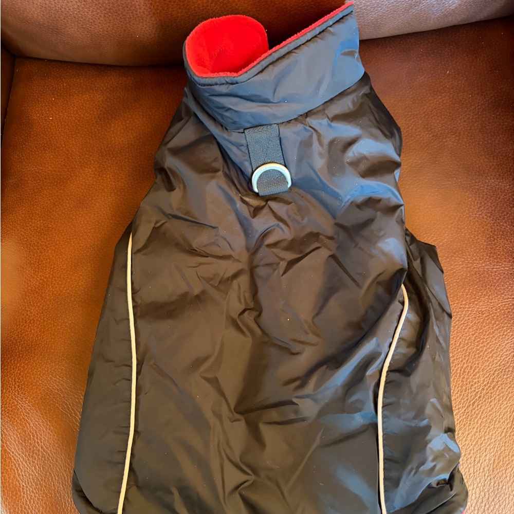 Goody dog Black Jacket with Red Lining